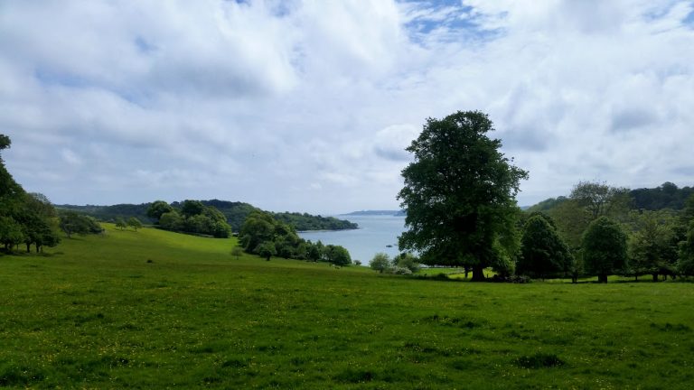 Trelissick