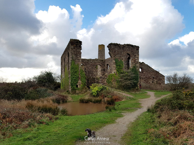 South Wheal Frances
