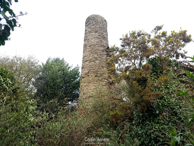 Wheal Henry