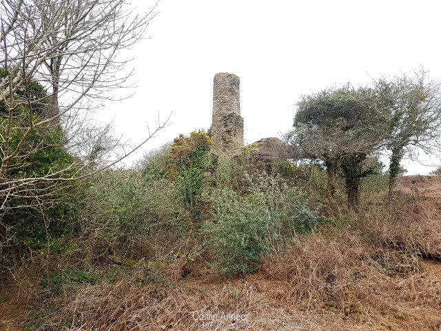 Wheal Henry