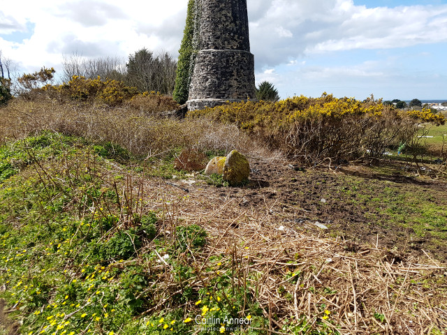 Carn Brea Mine