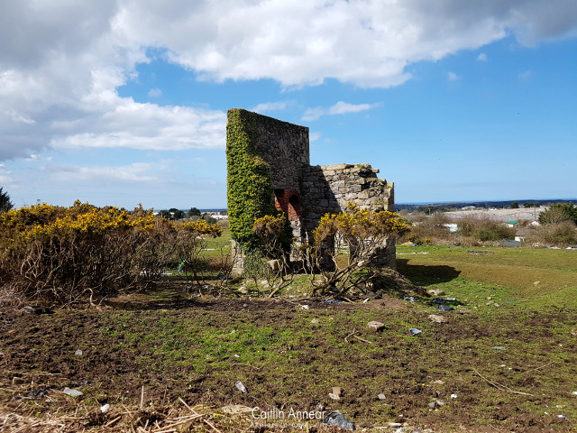 Carn Brea Mine