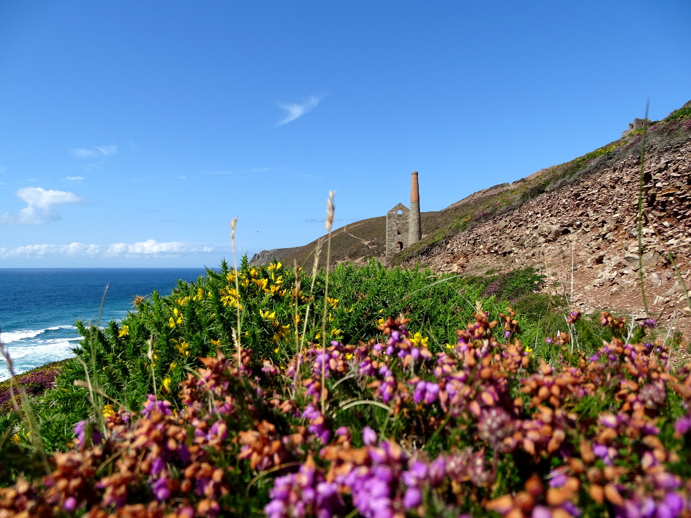 Wheal Coates