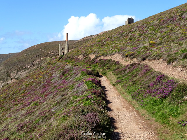 Wheal Coates