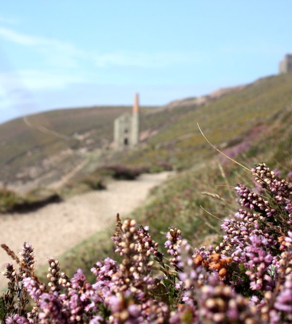 My List of Mine Engine Houses