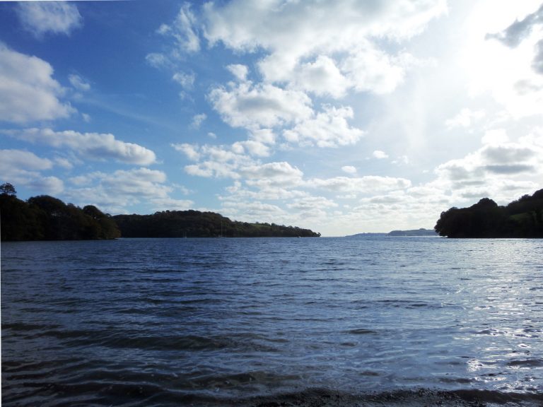 Trelissick Coast Path Walk