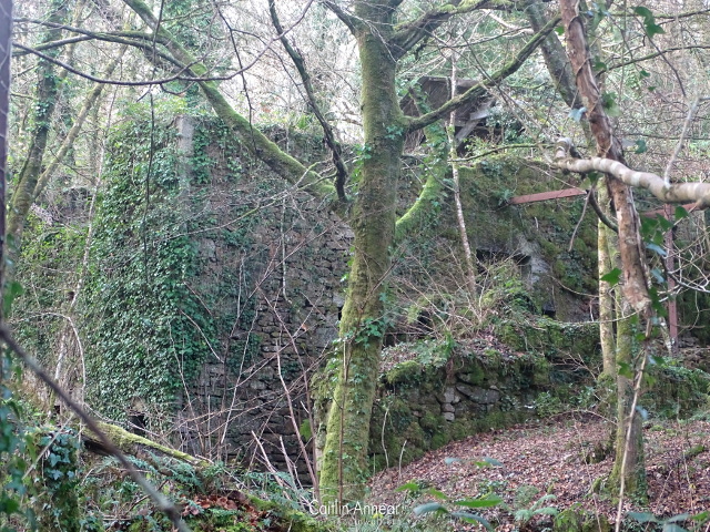 Kennall Vale