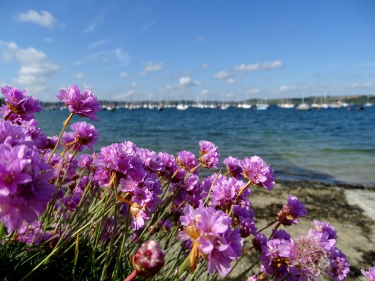 Flushing to Mylor Walk