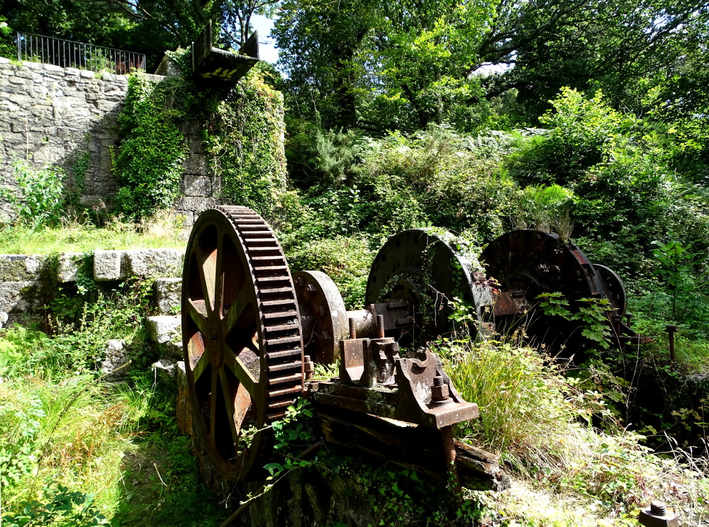 A Walk Around Luxulyan Valley