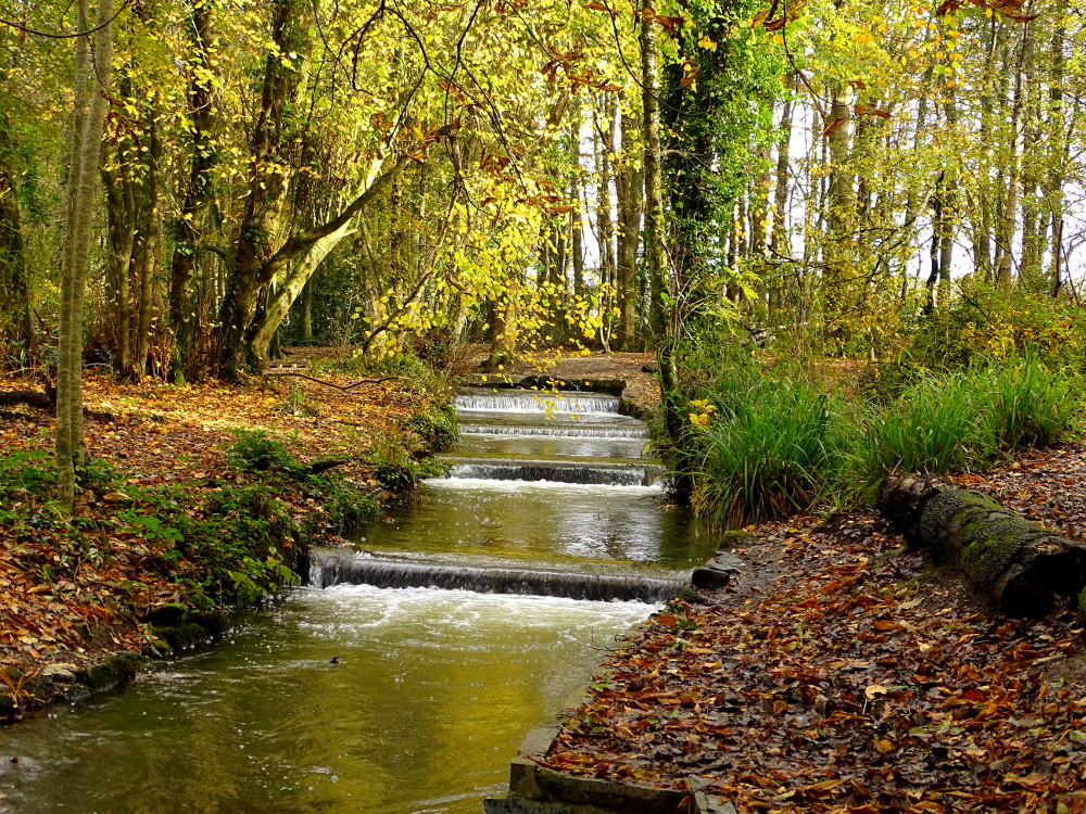 Walks Around the Redruth Area