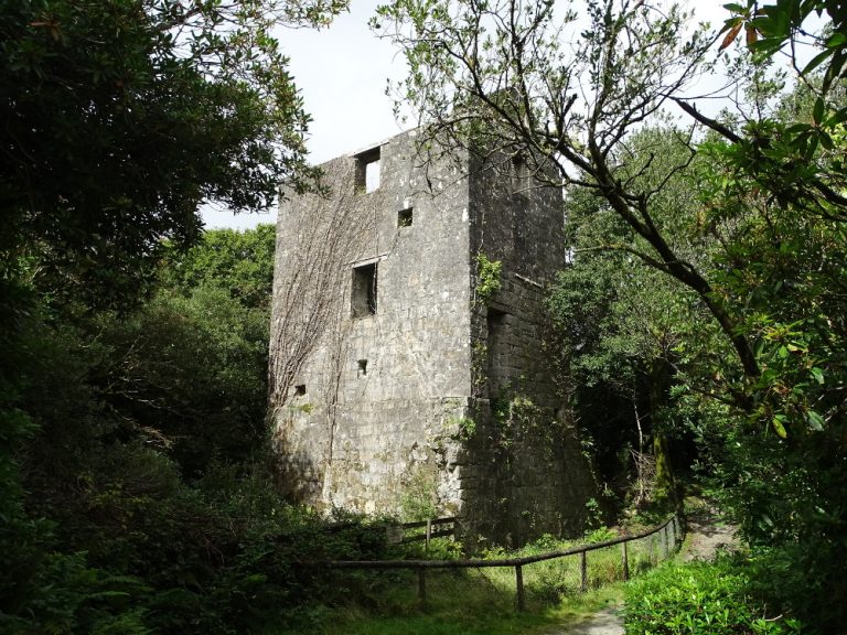 Gomm China Clay Works