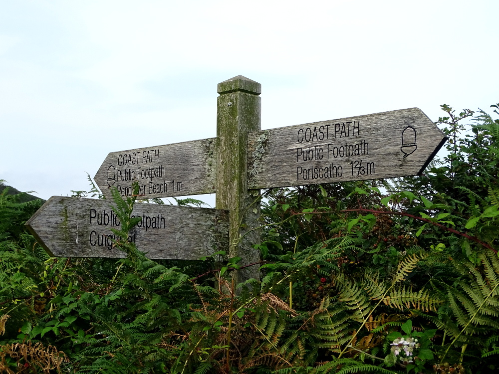 A Walk from Carne to Porthcurnick