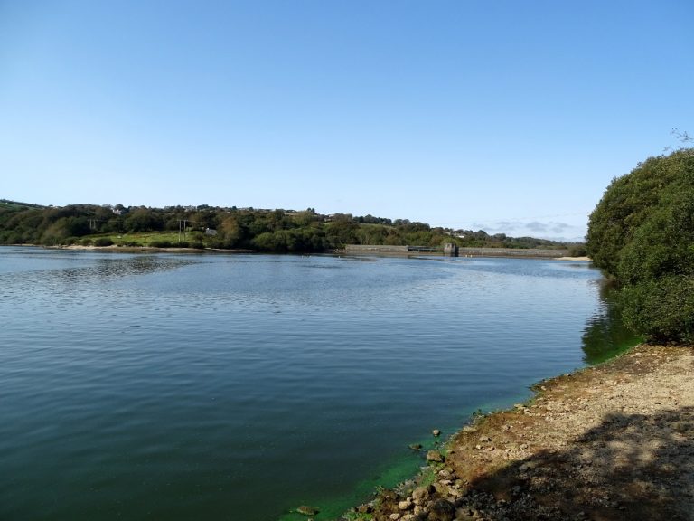 A Walk Around Argal Lake