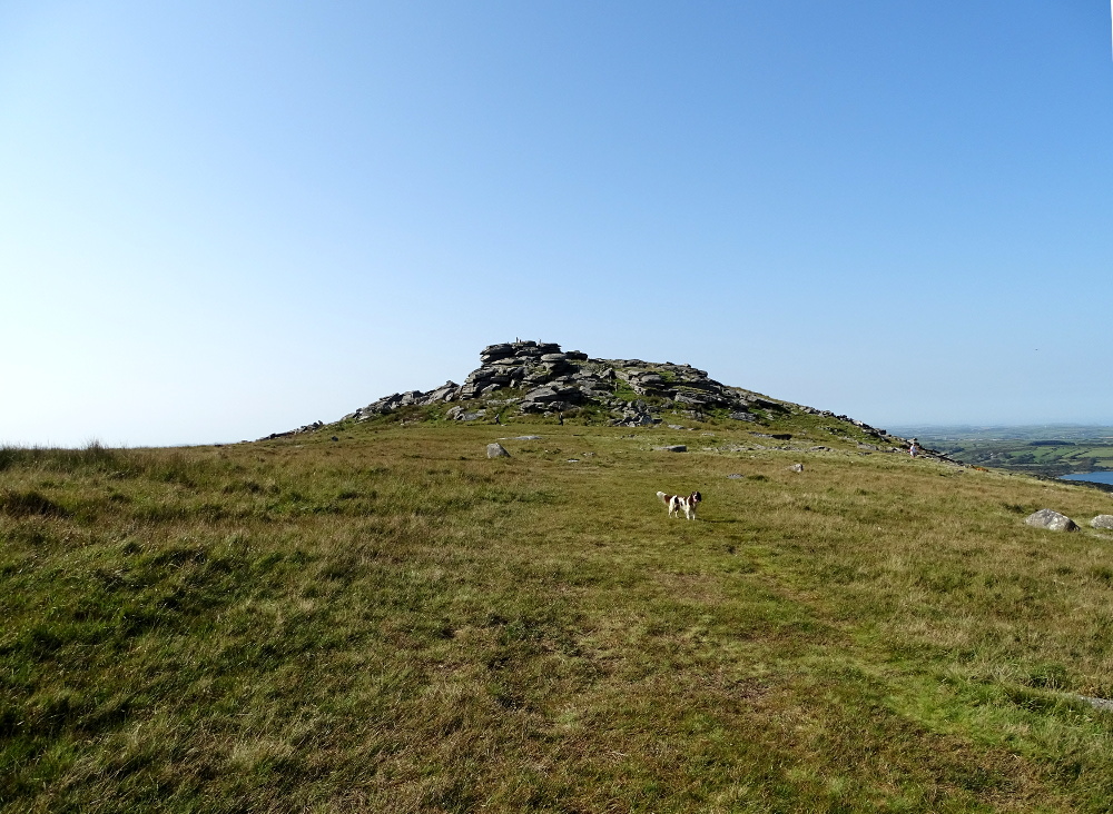 Rough Tor to Brown Willy