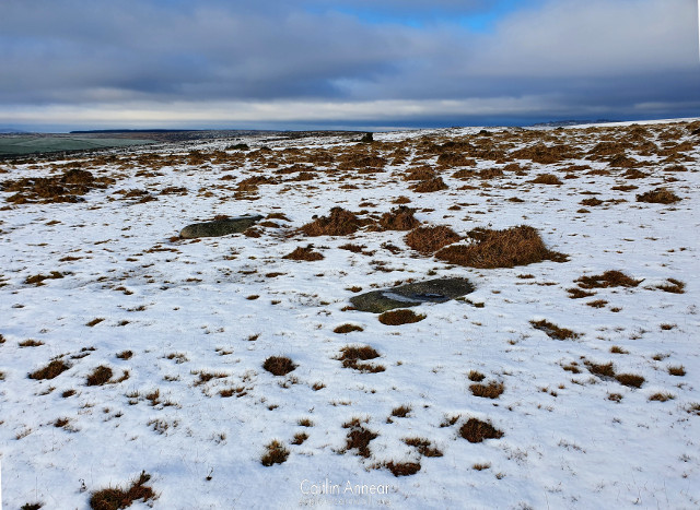 Craddock Moor Stone Circle