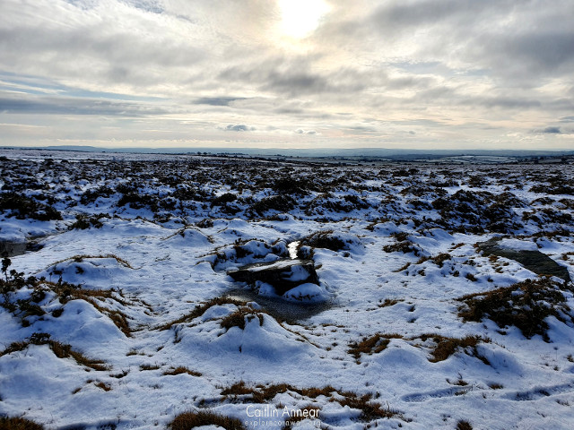 Craddock Moor Stone Circle