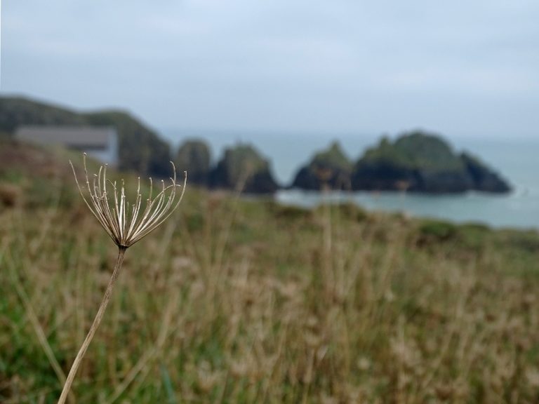 A Walk Around Trevose Head