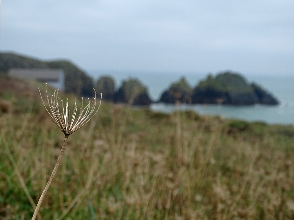 A Walk Around Trevose Head