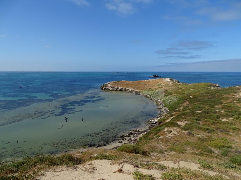 A Visit to Penguin Island