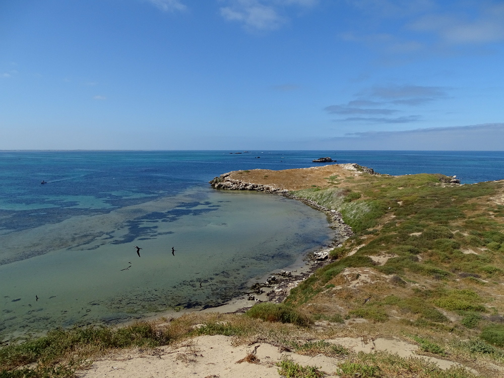 A Visit to Penguin Island
