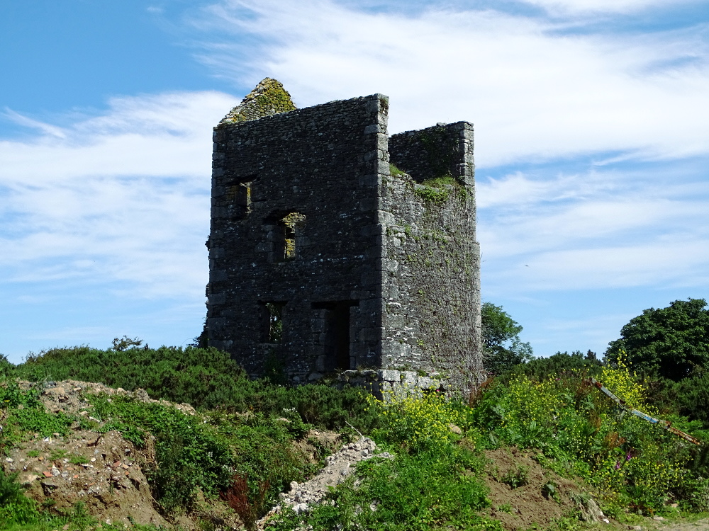 Wheal Ann
