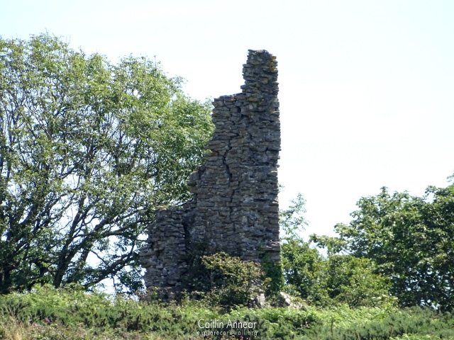 Wheal Ann